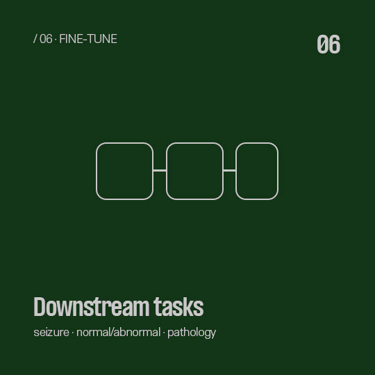 Fine-tune - Downstream tasks