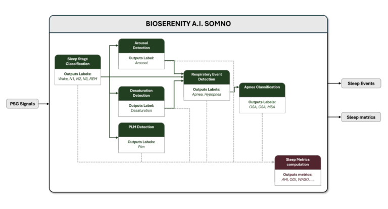 When AI Scores Sleep Like an Expert: Validating BIOSerenity A.I. SOMNO on 371 Polysomnographies
