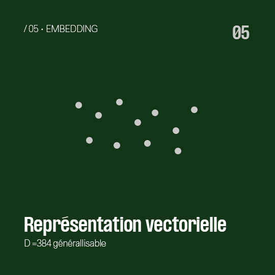 Embedding - Représentation vectorielle